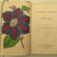 Floral1
